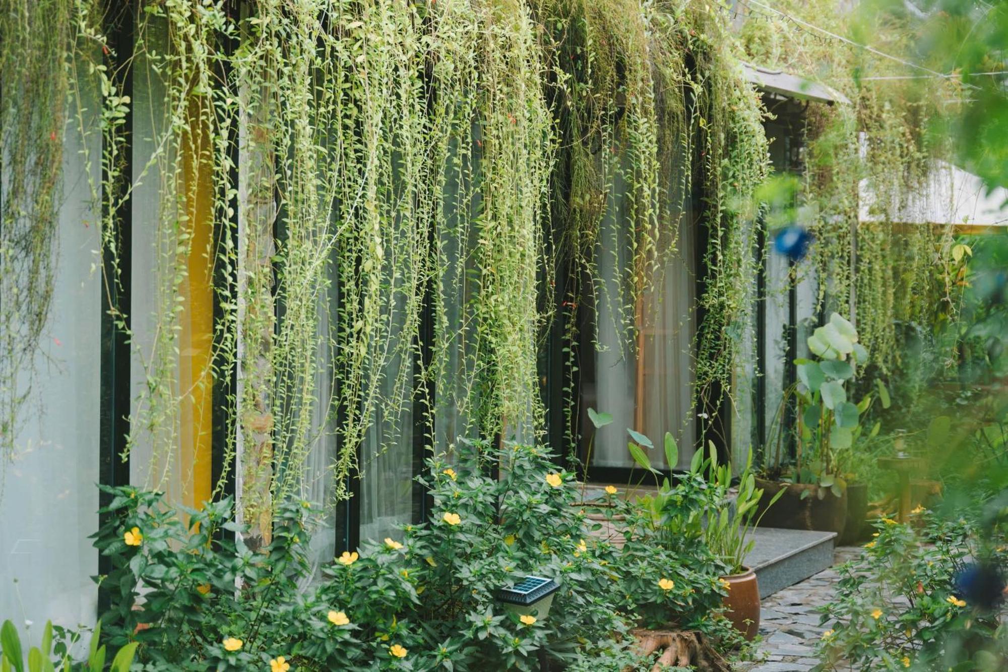 Ben Do Xua Homestay & Coffee Cai Rang Exteriör bild