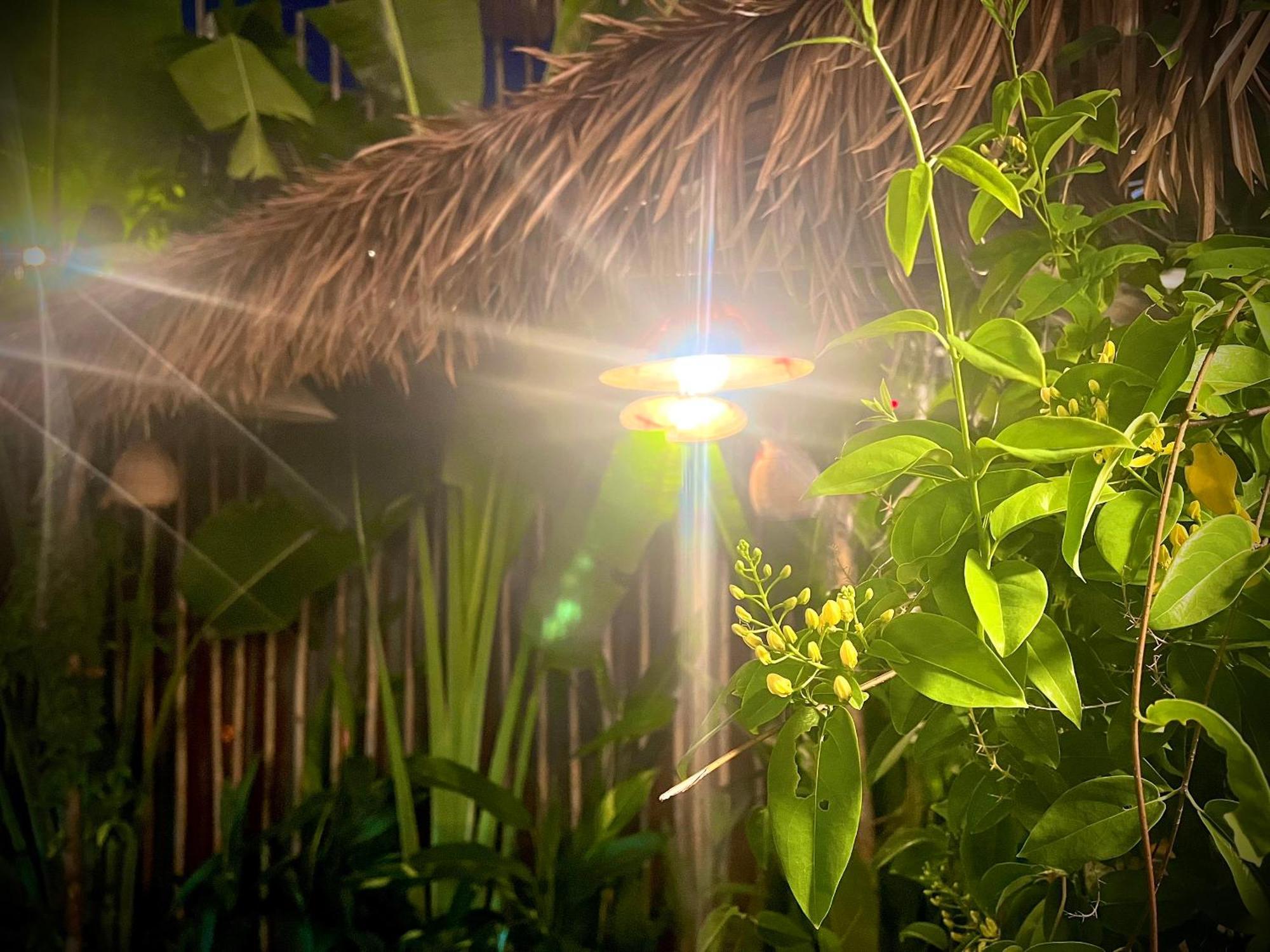 Ben Do Xua Homestay & Coffee Cai Rang Exteriör bild