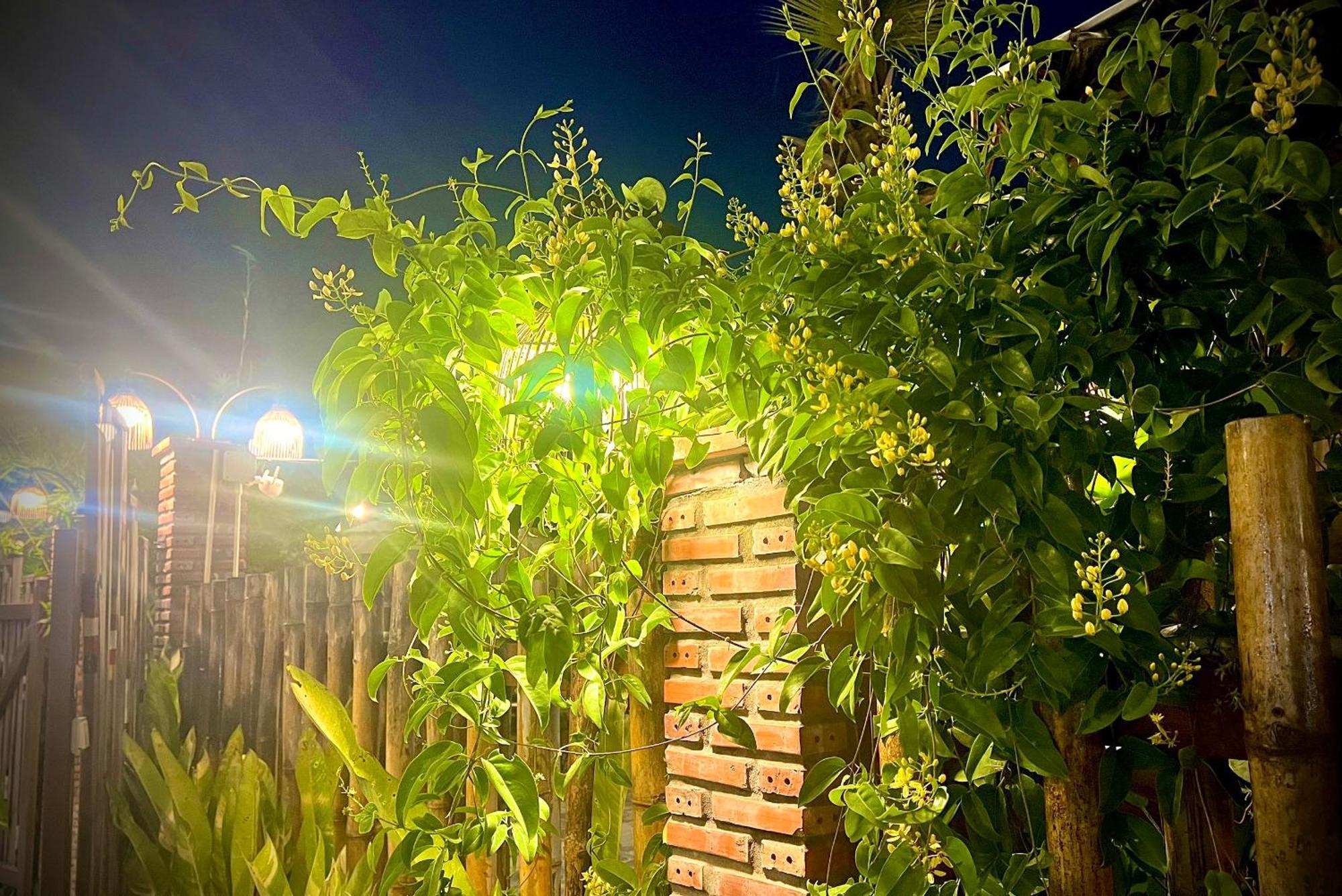Ben Do Xua Homestay & Coffee Cai Rang Exteriör bild