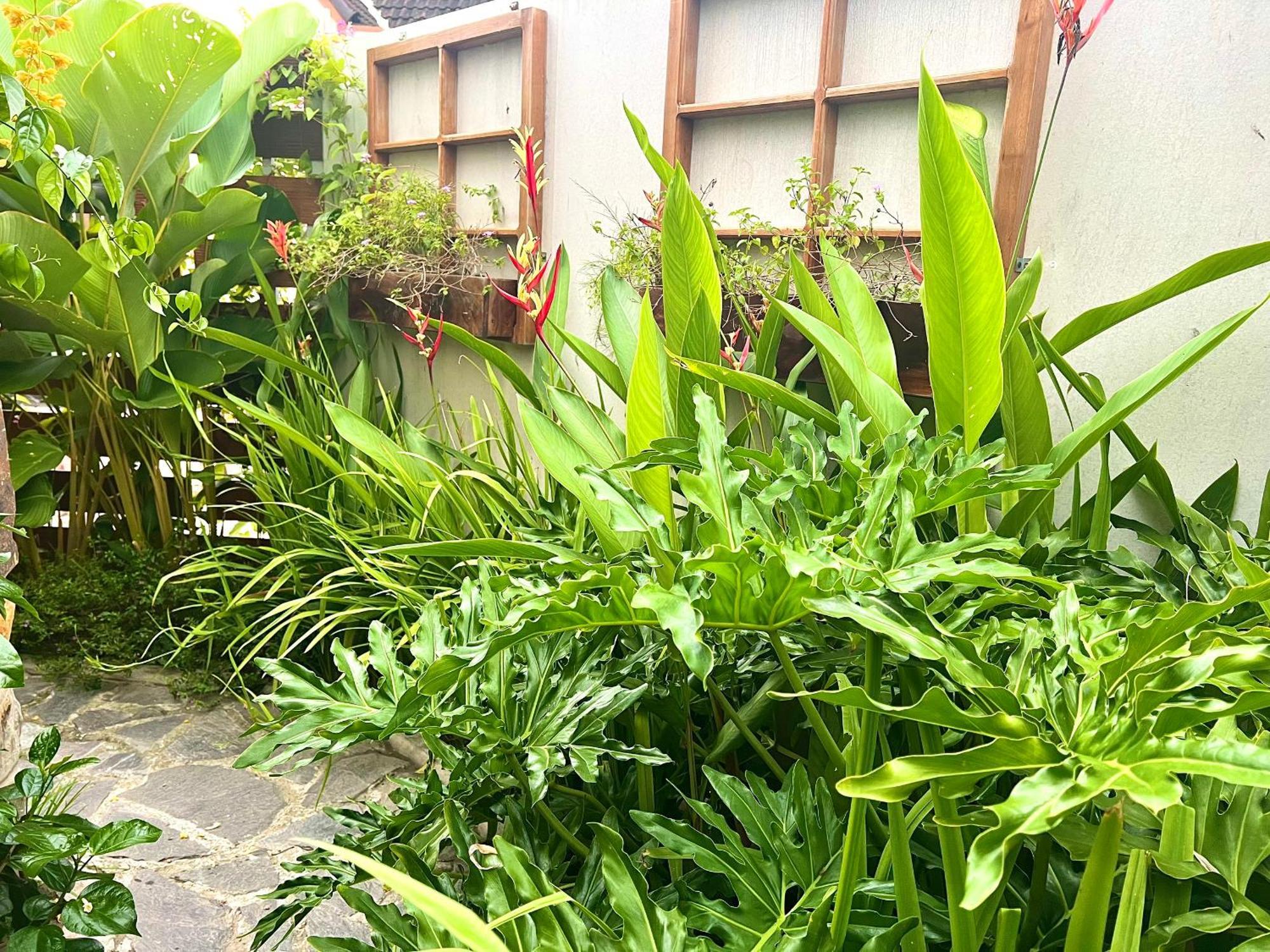Ben Do Xua Homestay & Coffee Cai Rang Exteriör bild